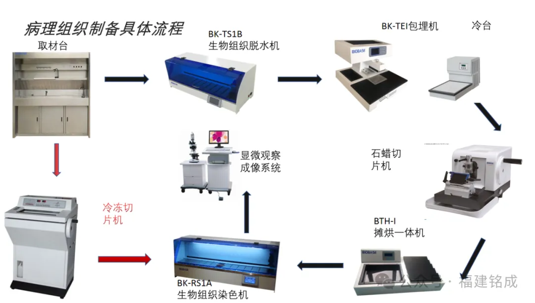1732501100389050.jpg 病理科2.jpg